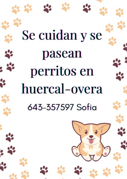 Se cuida y se pasean perros